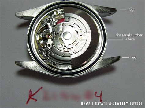 rolex movement serial numbers|check my Rolex serial number.